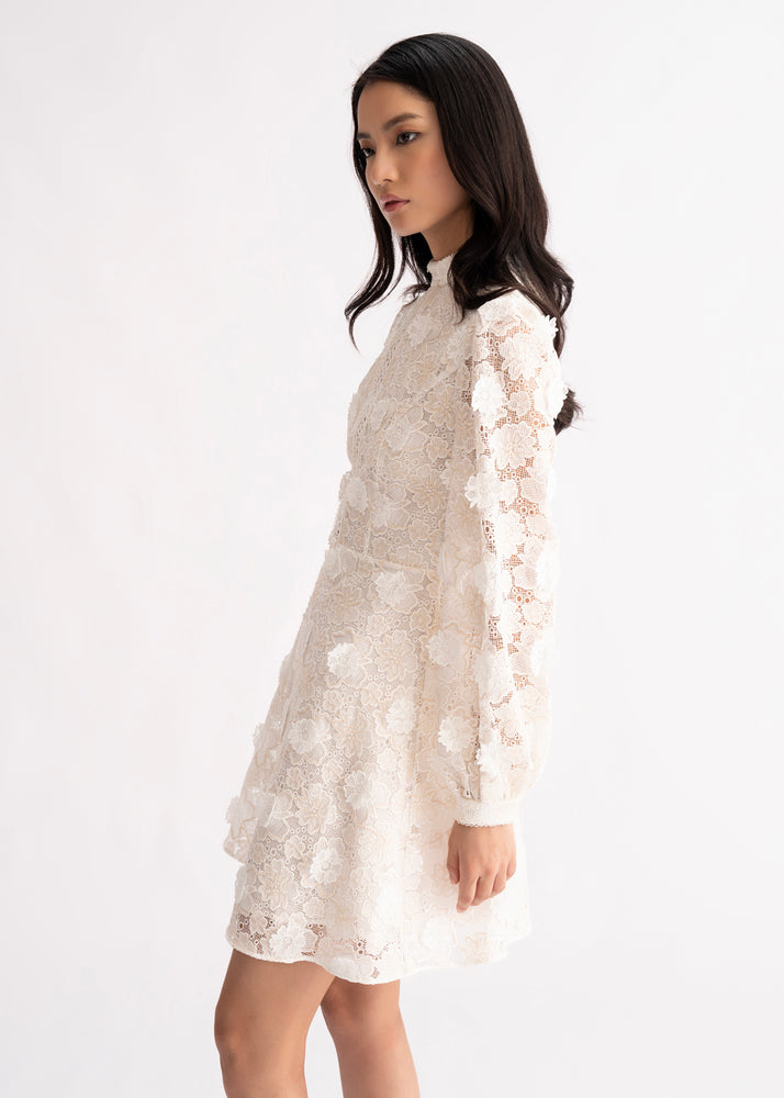 
                  
                    Fen Dress -Off White Lace
                  
                