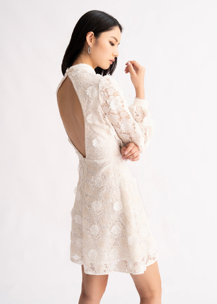 
                  
                    Fen Dress -Off White Lace
                  
                