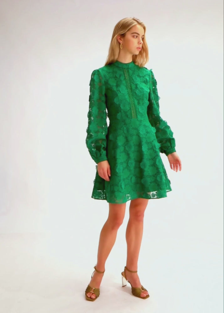 
                  
                    Load and play video in Gallery viewer, Fen Dress
                  
                